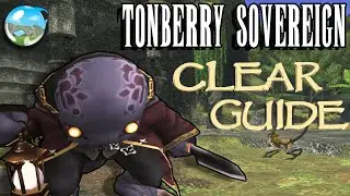 Tonberry Sovereign Tier 2 HENM Clear Guide (Horizon FFXI)
