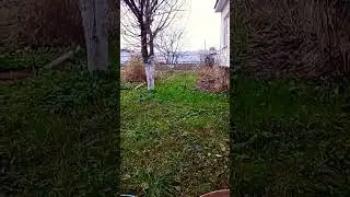 02.11.2022 Осень. Московская область. 🍁🍂