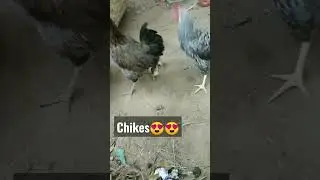❤️😁#happy#shortfeed#viral#shortfeed😍❤️❤️