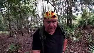 TimberGiantBigfoot is back - My Thoughts