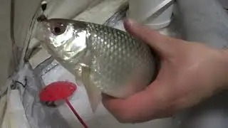 FISHING ALONE IN NEW PLACES. PART 2.