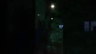 25 ноября 2021 г.