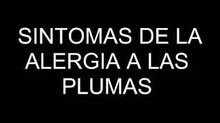 SINTOMAS DE LA ALERGIA A LAS PLUMAS