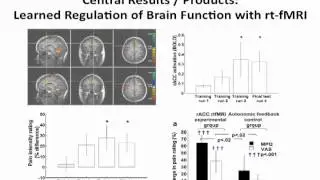 Real Time fMRI Neurofeedback - John Gabrieli