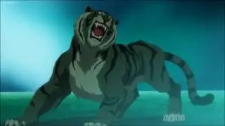 Animal Shapeshifting