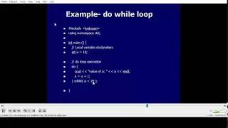 Do while loop