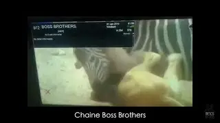 Comment capter BOSS BROTHERS TV au Congo