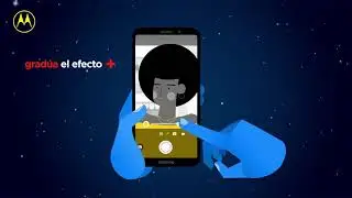 #MotoTips