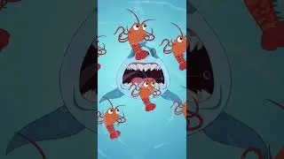 Megalodon fights whale