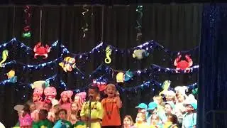Nico’s Performance