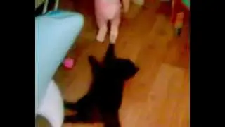 Амелька и кот.