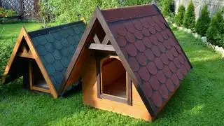 Most Creative Dog Houses Ever