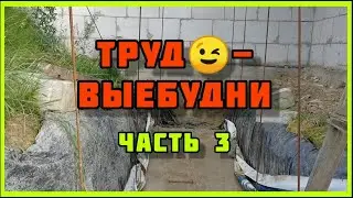 Трудовые будни 3