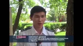 Эпизоотический мониторинг в Калмыкии
