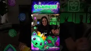 Win big like I did here on Gamdom!