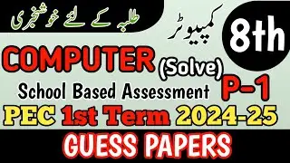 Class 8 Computer Paper School Based Assessment 2024 | SBA First Term papers 8th Class | PEC Grade 8