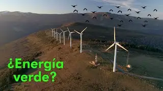 🌬️ Energía EÓLICA. Ventajas y desventajas. Energía RENOVABLE