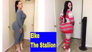 Elke The Stallion: Lifestyle, Facts, Curvy Fashion 2022.