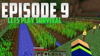 Minecraft- Taking Inventory [9]