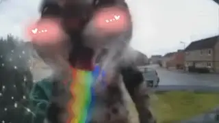 cat meows at doorbell but in 40 different meme sounds