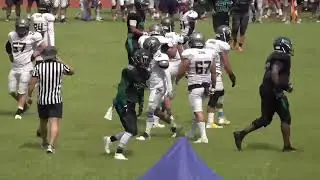 CNFL Week 1 East Division Hangzhou vs Titan Q1
