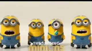 'Minions' Singing Despacito