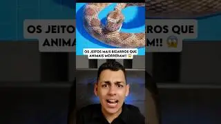 The most BIZARRE ways ANIMALS died!! 😱