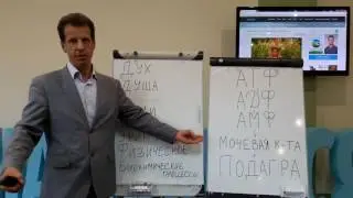 Подагра Стрессы и Концепция Здоровья доктора Пилюка