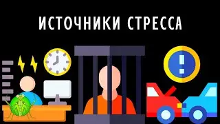 Источники стресса | Когда появляется стресс