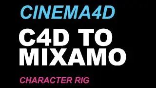 Cinema 4D: Cinema 4D to Mixamo