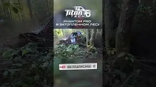 🔥💪 Phantom Pro по ЗАТОПЛЕННОМУ ЛЕСУ #titantech #fantompro #phantompro #трофирейд #автоспорт #shorts