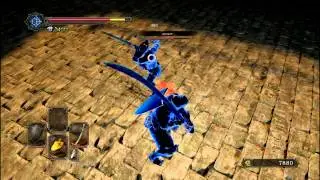 Dark souls 2 RICH PVP