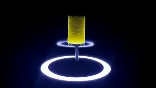 Introducing Sponge | Губка презентация