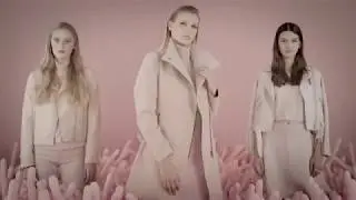 רנואר 2017, ניבר מדר , יהודה לוי וגפן ברקאי .