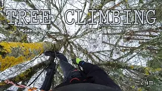 Raw Tree Climbing