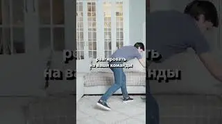 Поведение в общественным местах с собакой 