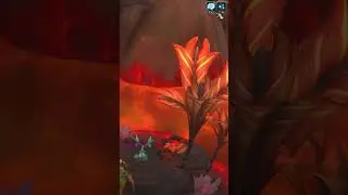 Фарм Скопление спор Заралека WoW Dragonflight 