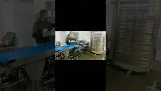 Automatic meat sticks system. Made in Ukraine
