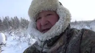 Как, я ставлю петли на волка.