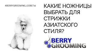 Какие ножницы выбрать для азиатского стиля? 