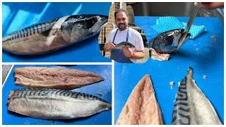 How to fillet a mackerel | how to fillet a fish .