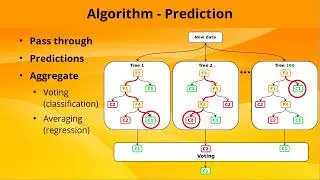 Quickly Learn Random Forest: Process, Pros/Cons, Derivatives #ai #machinelearning