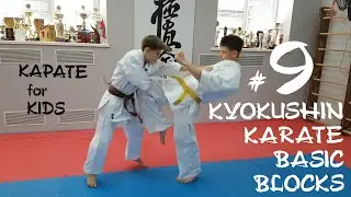 Базовые блоки в киокушин карате. Хиза гери. Часть 9. Kyokushin karate basic blocks.Hiza geri.Part 9.