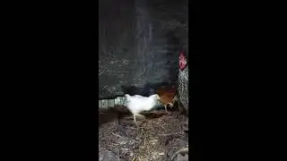 Лариса Яковлева в прямом эфире!
