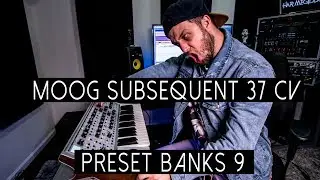 MOOG SUBSEQUENT 37 CV - PRESETS (BANK 9)