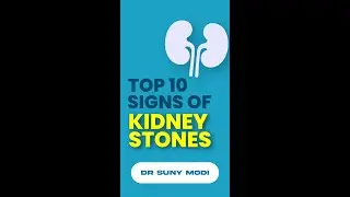 TOP 10 SYMPTOMES OF KIDNEY STONES || DR SUNY MODI #kidney #kidneystone