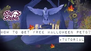 Star Stable Halloween free pets! How to get them?🍁