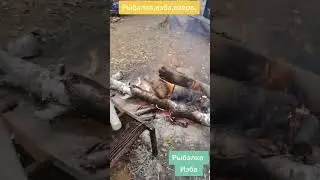 ЧТО ГЛАВНОЕ В РЫБАЛКЕ?