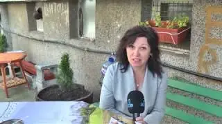 RM TV: Съседска инициатива в бл. Орбита 12