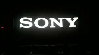 Sony/Columbia Pictures (100 Years)/TSG Entertainment (2024)